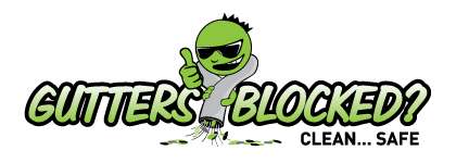Gutters Blocked