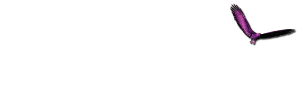 Liberato