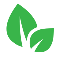 Affordable Tree Services Northern Beaches