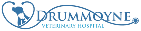 Drummoyne Veterinary Hospital