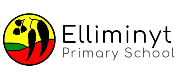 Elliminyt Primary School