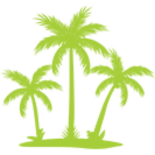 Palm Cove Car Rental