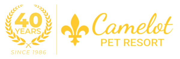 Camelot Pet Resort